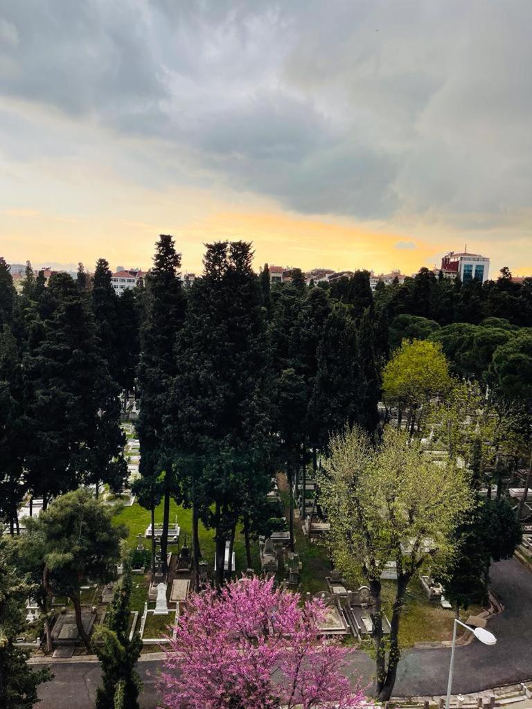 Aymira Suite Hotel Стамбул Номер фото